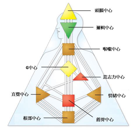 九大能量|會看人類圖嗎？人類圖九大能量中心速成懶人包：初學者輕鬆入門